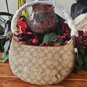 Coach Brown Signature Bag